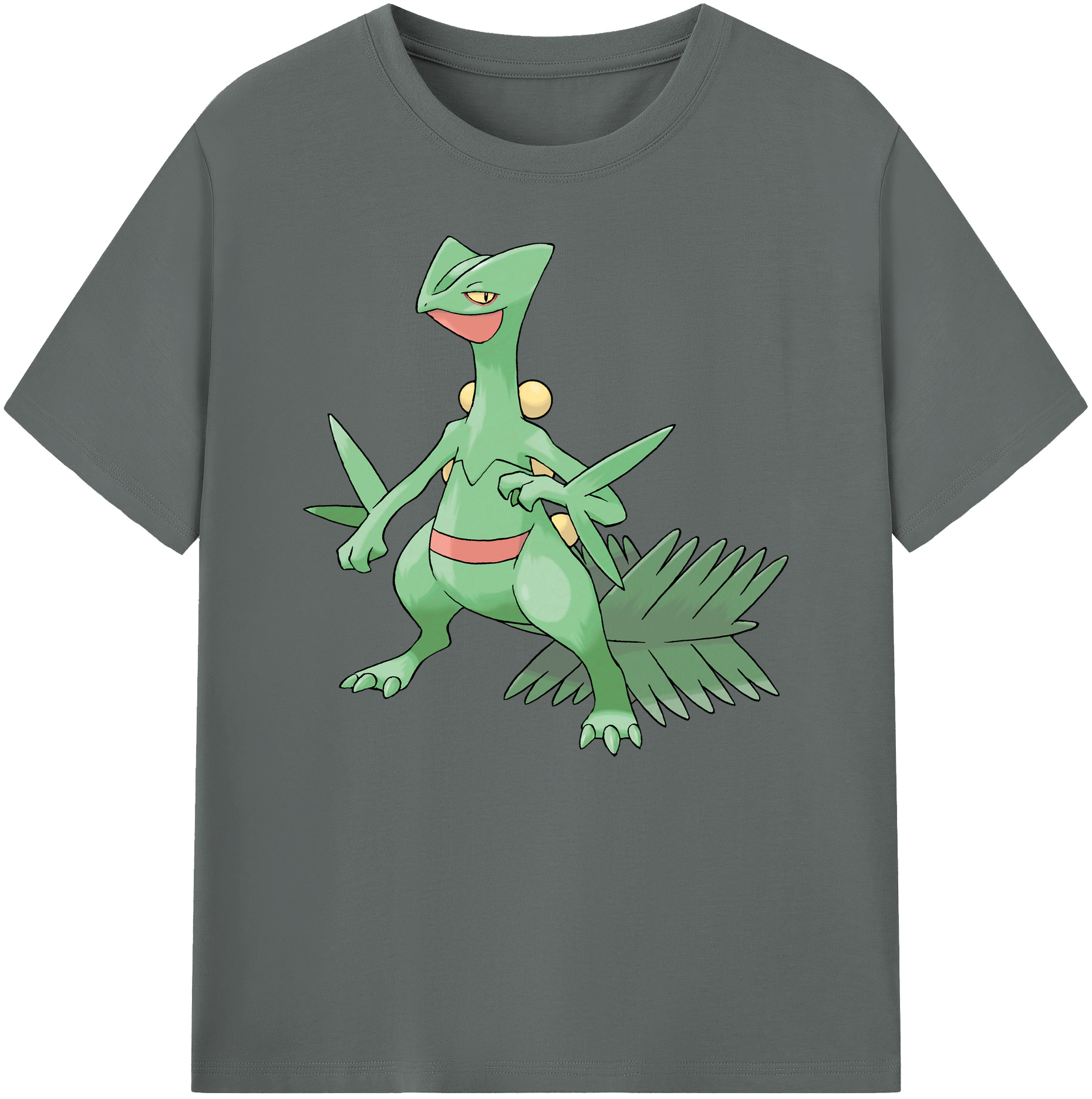 （画像用） ポケットモンスター Pokémon 綿100％ メンズ半袖Tシャツ｜肌触りやわらか＆通気性
